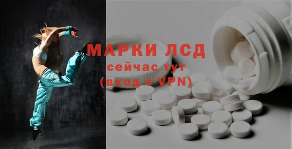 стаф Алексин