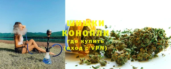 apvp Алзамай