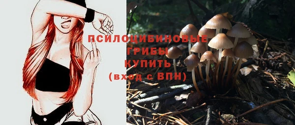 apvp Алзамай