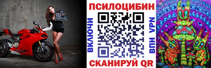 Псилоцибиновые грибы Psilocybe  Пушкино 