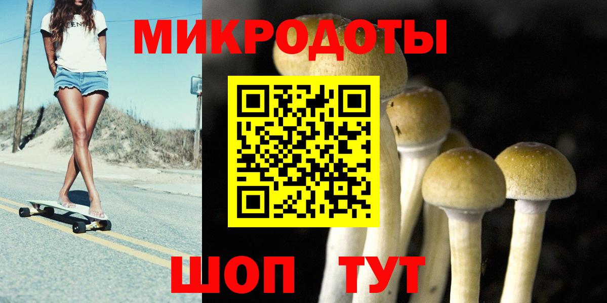 Галлюциногенные грибы MAGIC MUSHROOMS  Вход с VPN  Пушкино  что такое   Галлюциногенные грибы GOLDEN TEACHER 