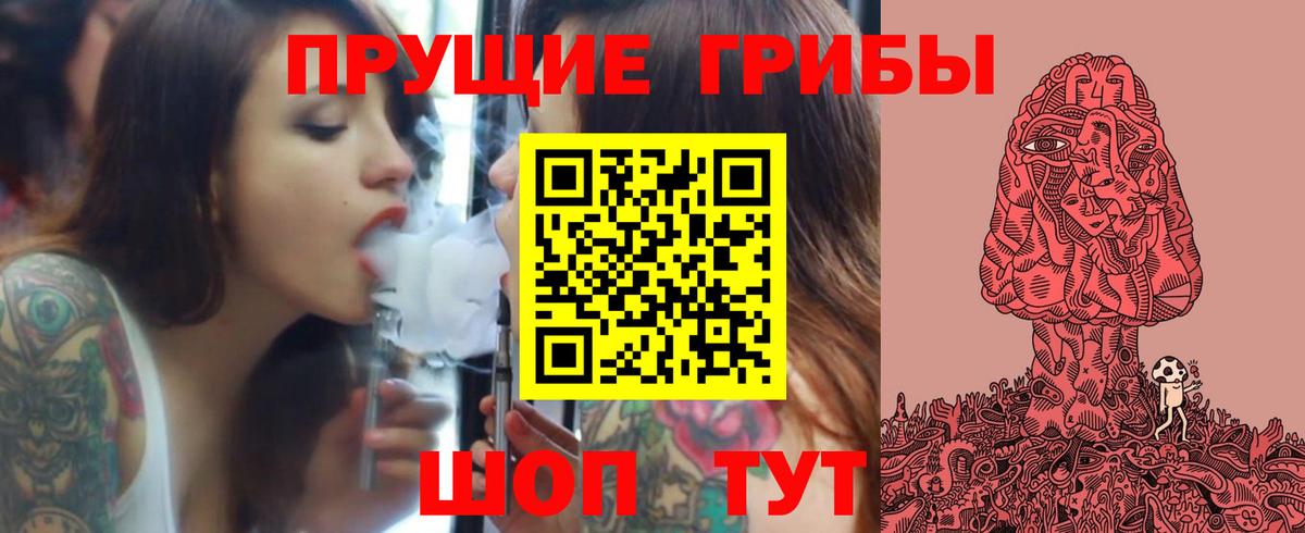 Псилоцибиновые грибы Cubensis Пушкино